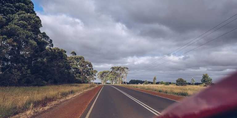 Aliquet vel mollis nec